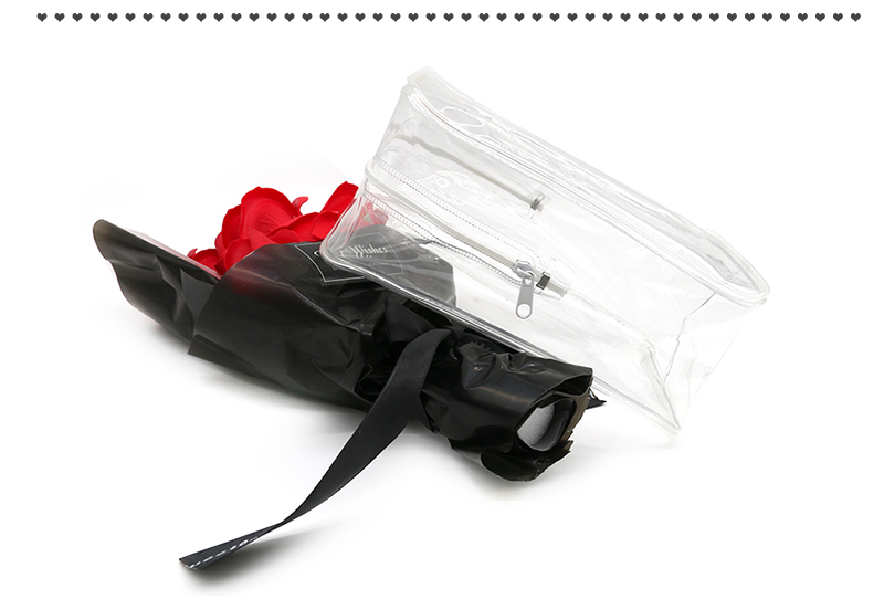 JPZ003 plastic jewellery zipper bag