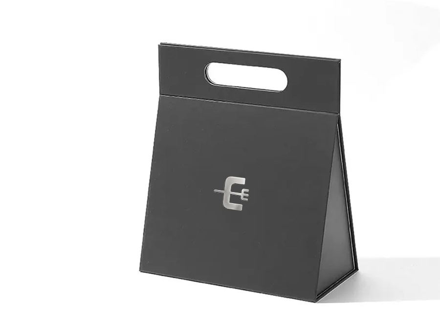 WPP013 Black Card Watch Bag