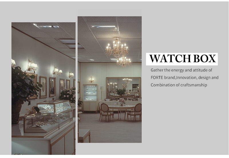 WPP024 watch flap box
