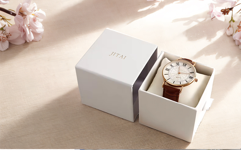 WPP029 minimalist watch box