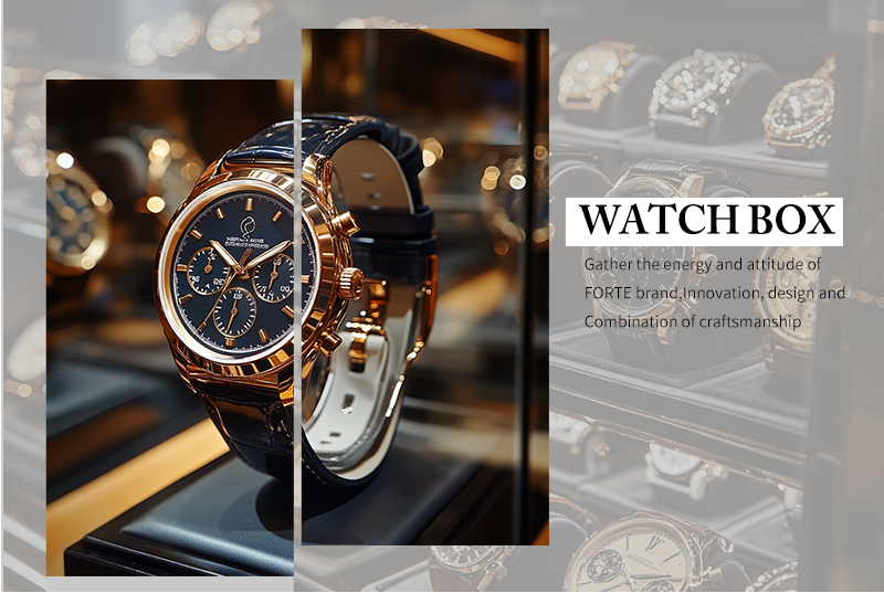 WPP031 colorful watch box