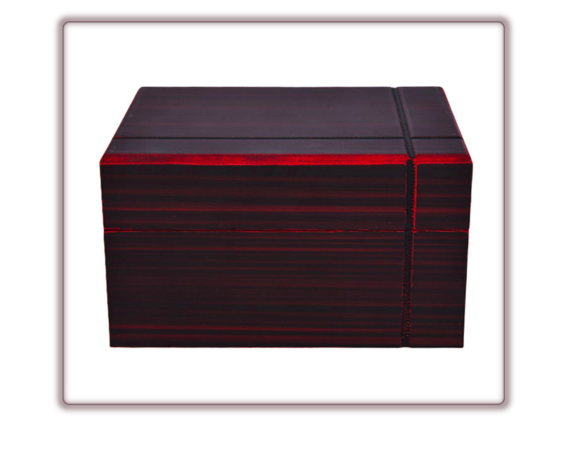 WPB008 luxury watch box