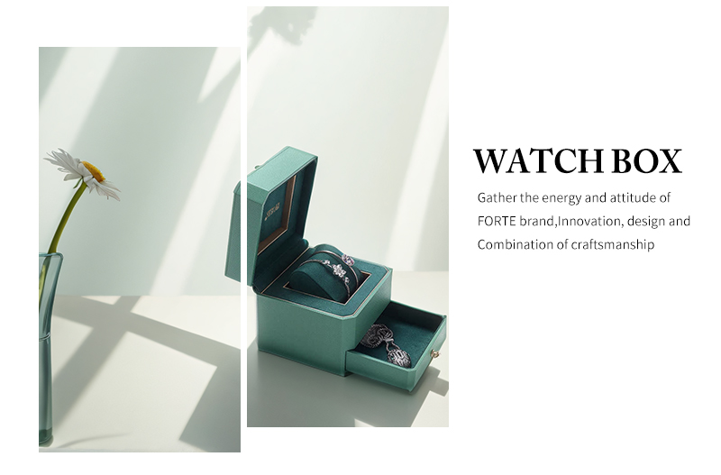 WPB028 watch box with drawer