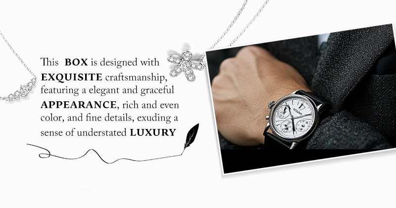 WPB045 elegant watch box