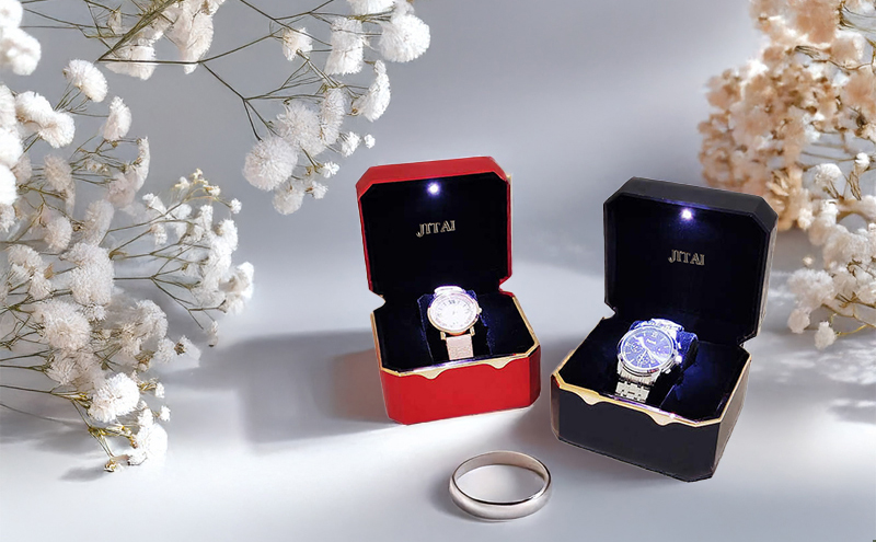 WPB049 watch box with light