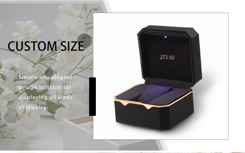 WPB049 watch box with light